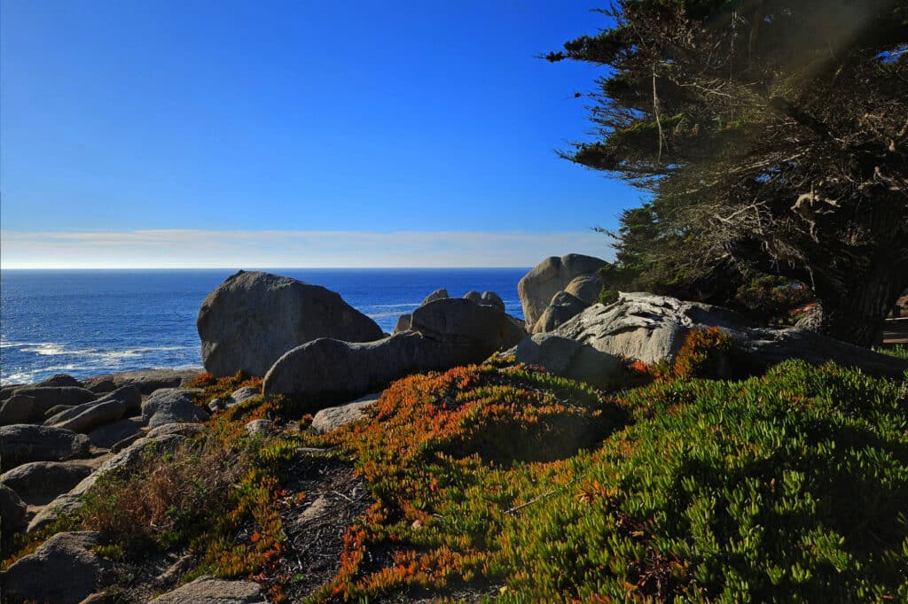 17-Mile-Drive in Monterey