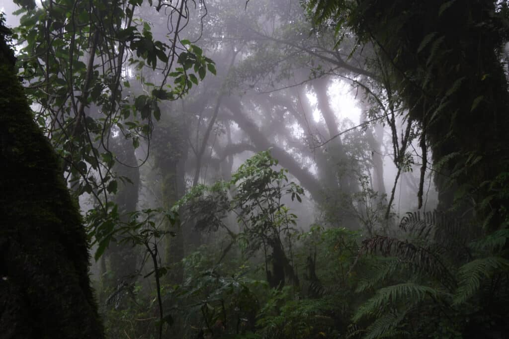 Climb to Acatenango