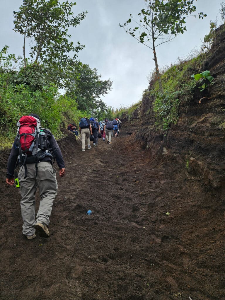 Climb to Acatenango