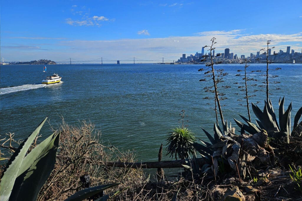 Alcatraz