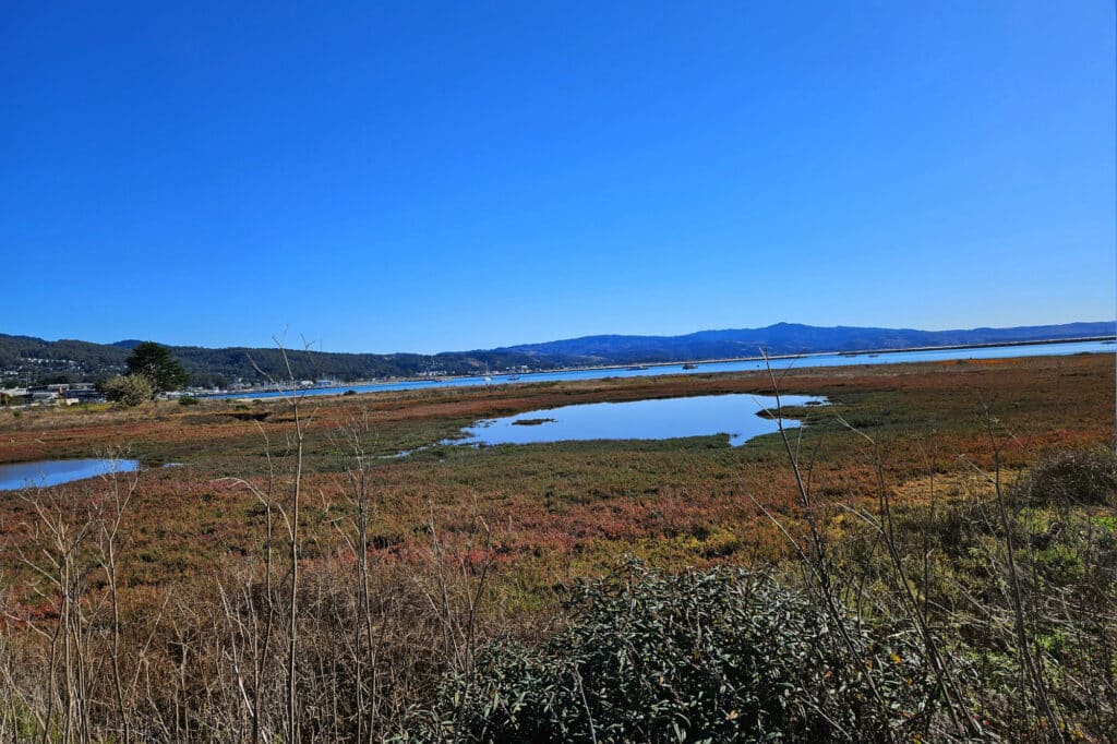 Half Moon Bay