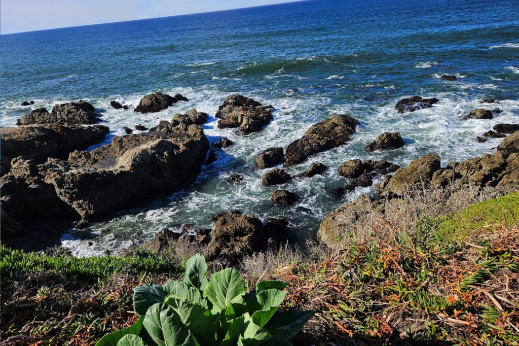 Montara State Beach