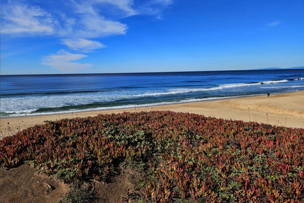 Montara State Beach