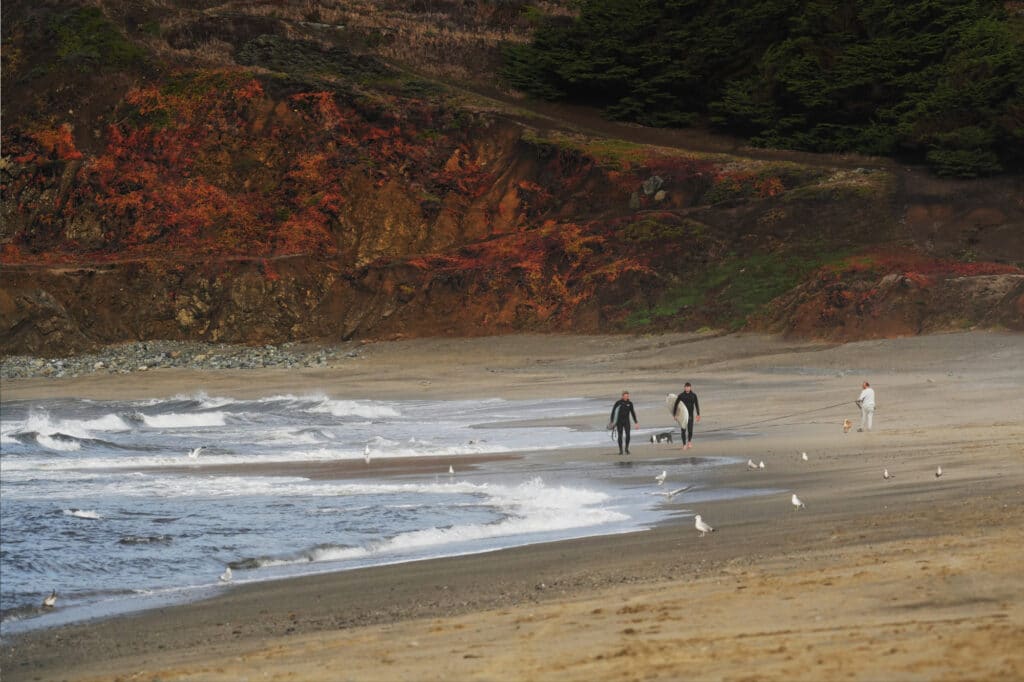 Surfing at Pacifica State Beach