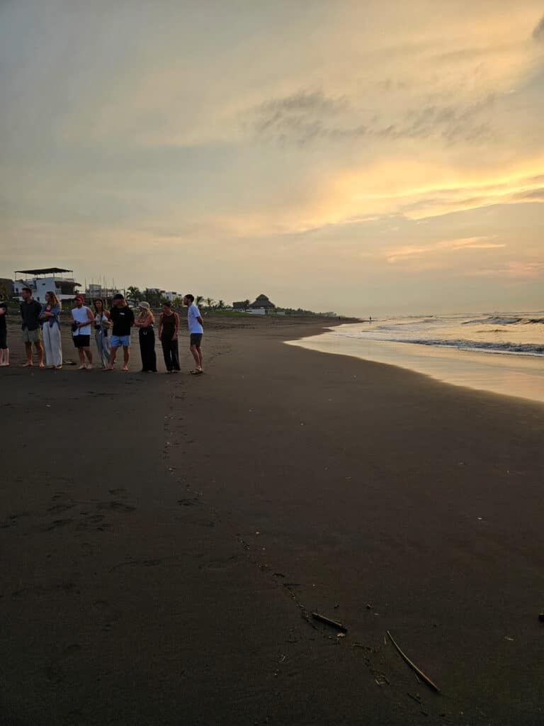 Turtle release in El Paredón
