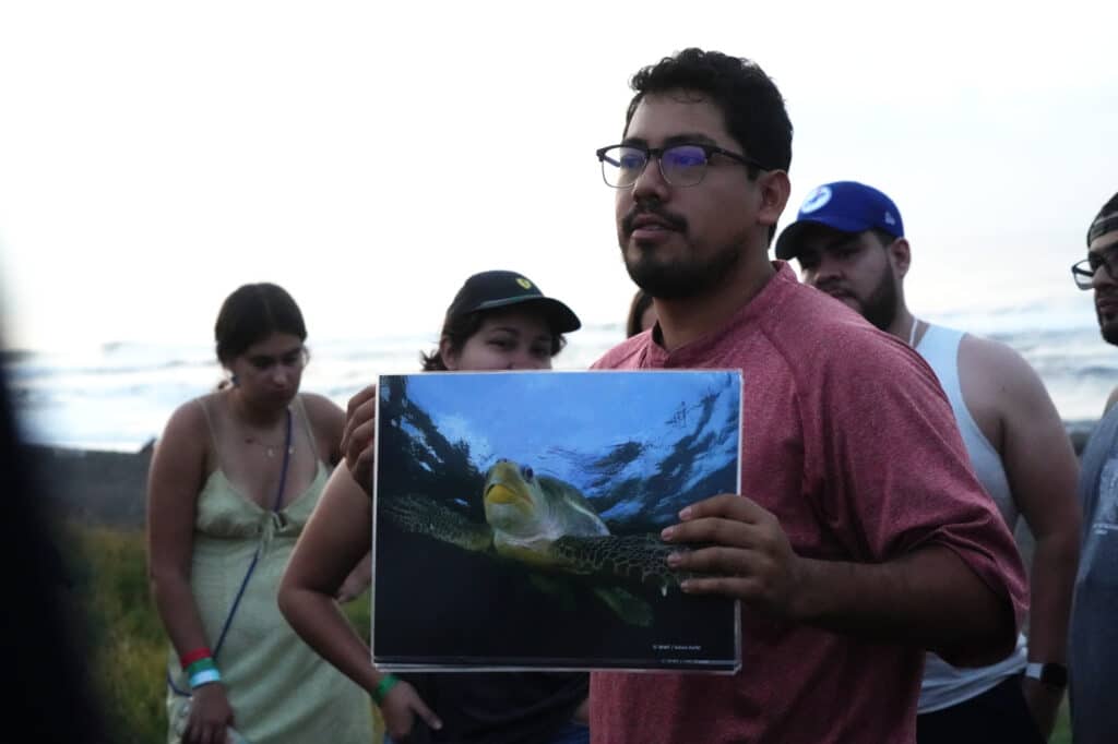Turtle release in El Paredón