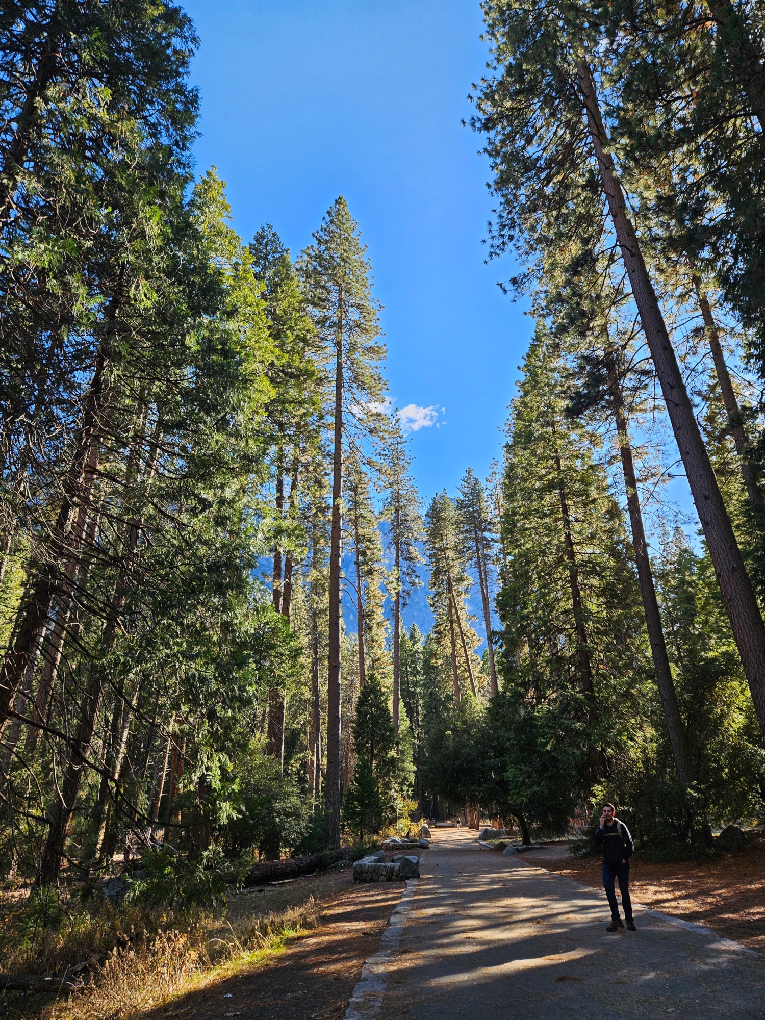 Yosemite