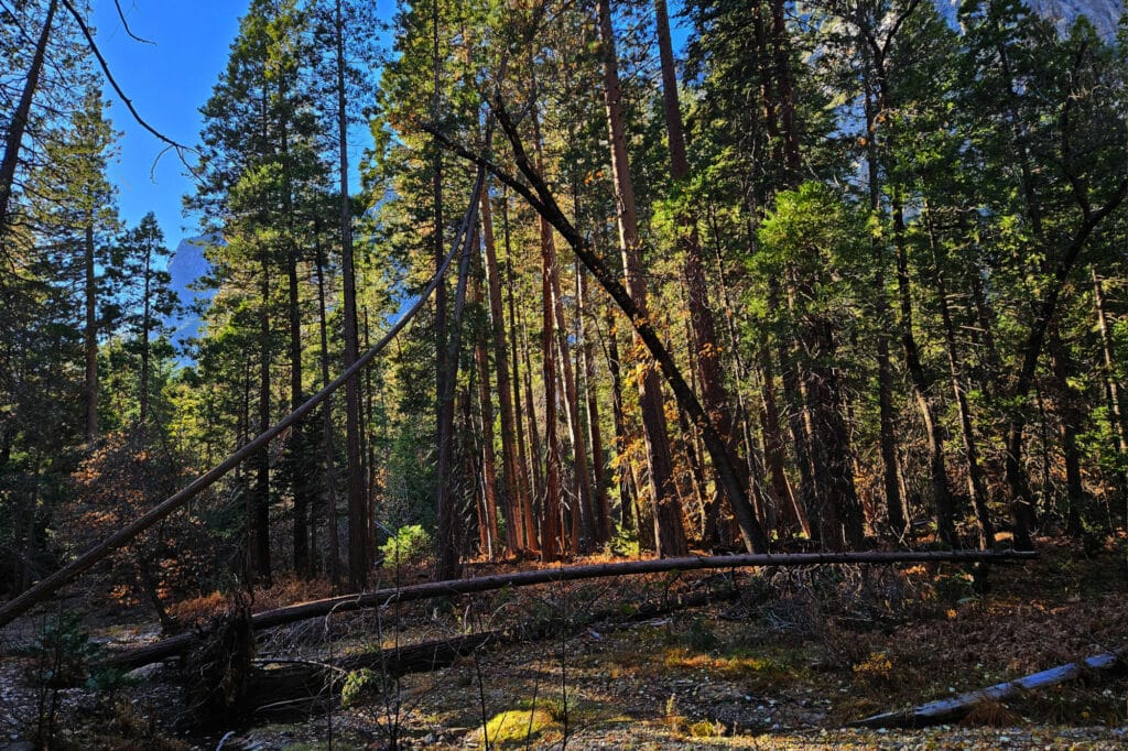 Yosemite