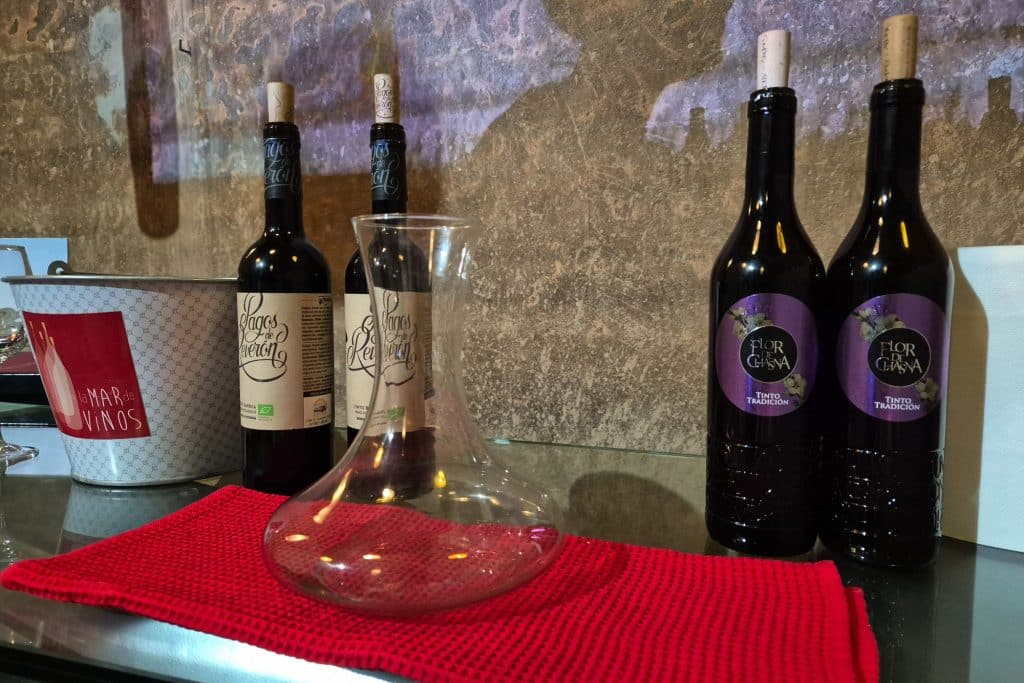Wine Tasting at Cactus Coliving in Tenerife