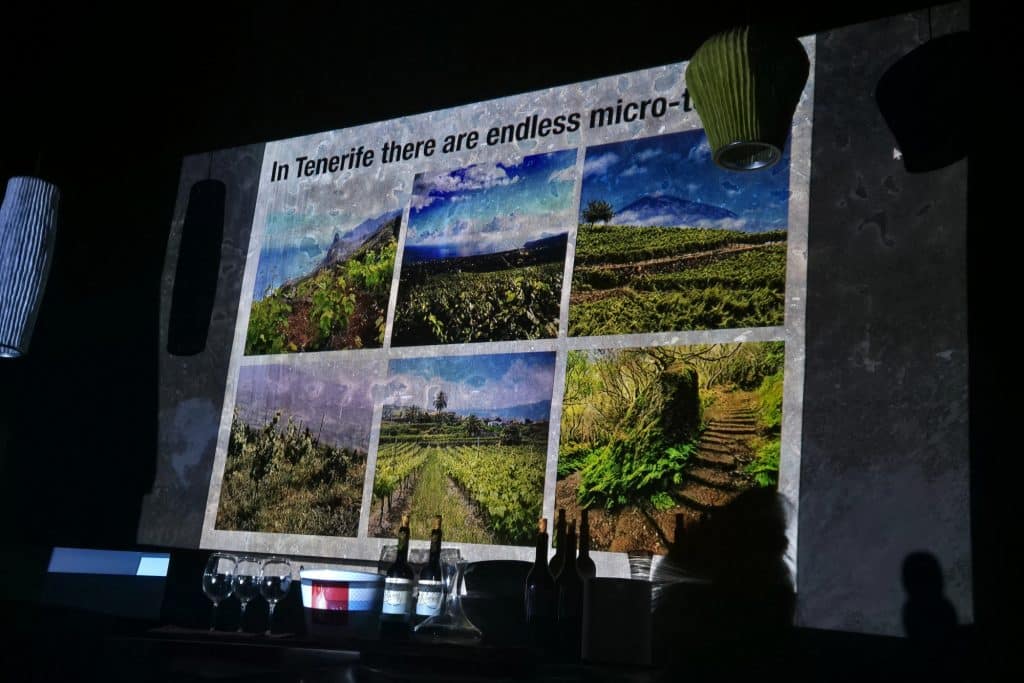 Wine Tasting at Cactus Coliving in Tenerife