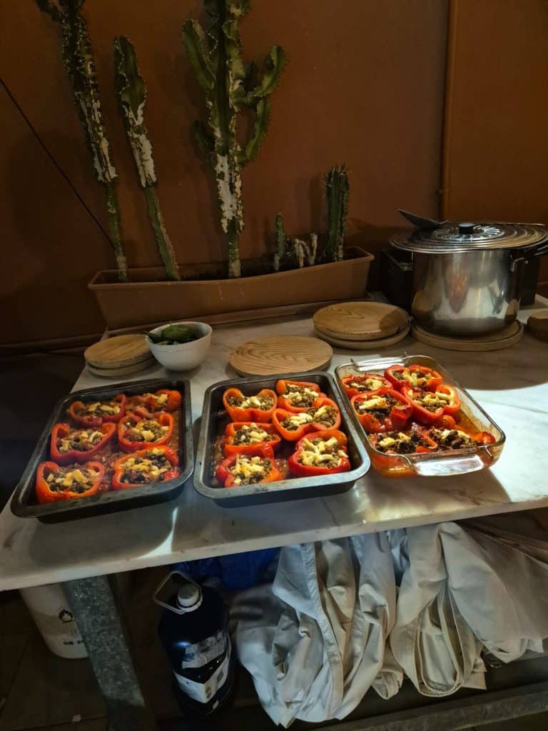 Community Dinner at Cactus Coliving in Tenerife