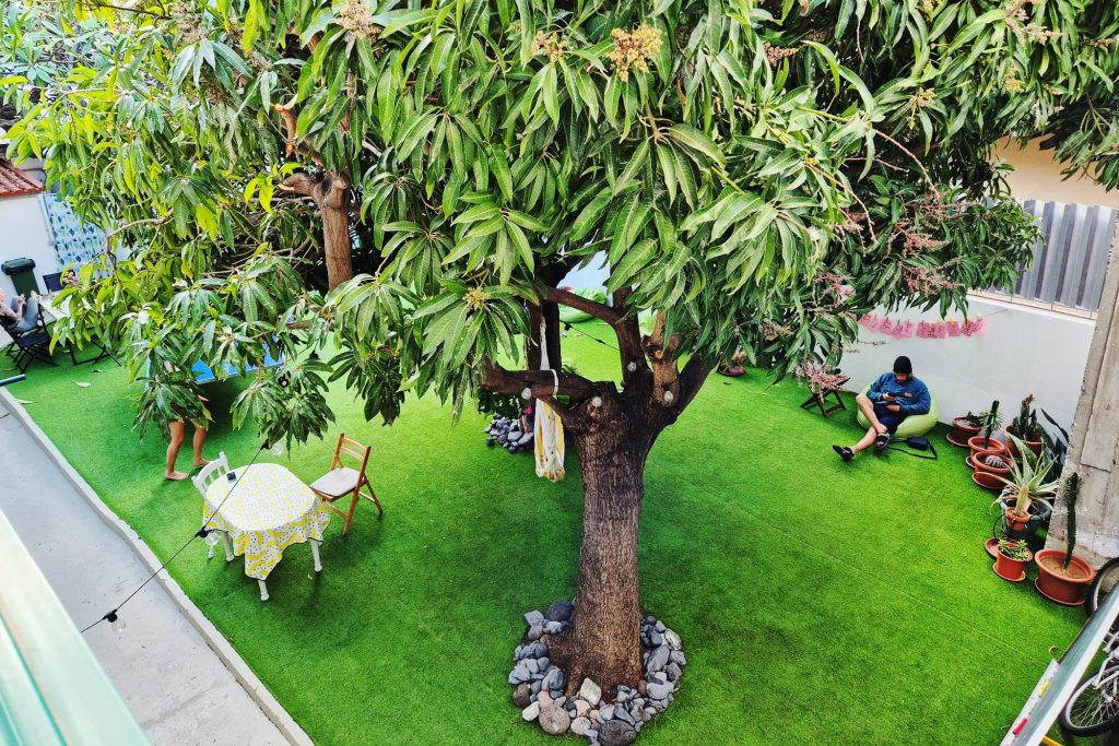 Cactus Coliving in La Gomera