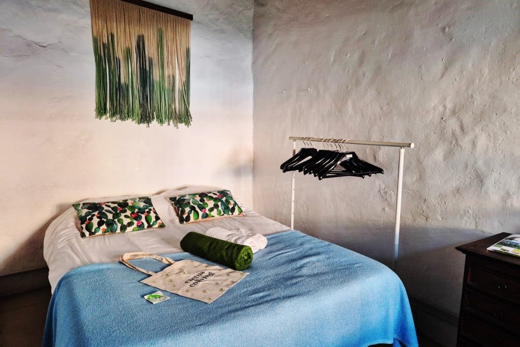 Cactus Coliving in La Gomera