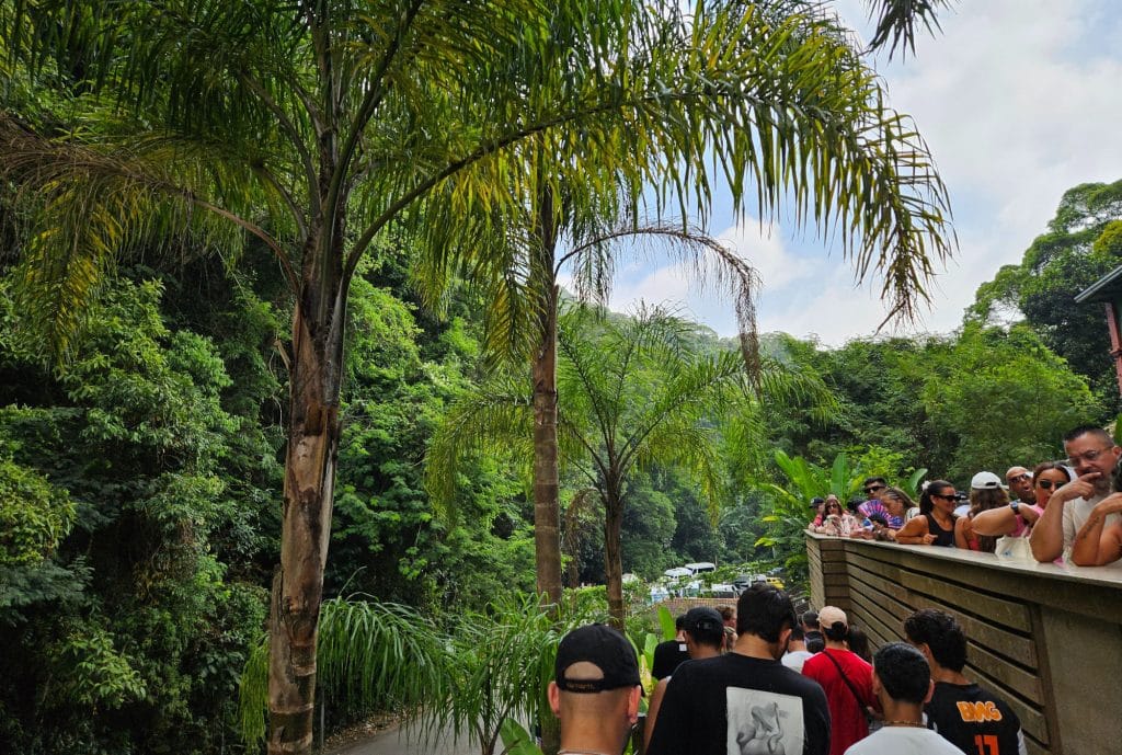Queue for the Christ The Redeemer Statue in Rio de Janeiro