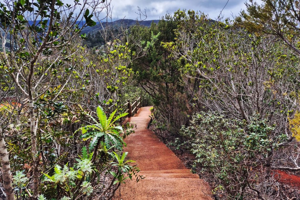 Garajonay National Park