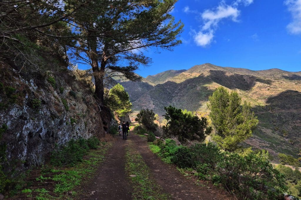 Hiking in La Gomera