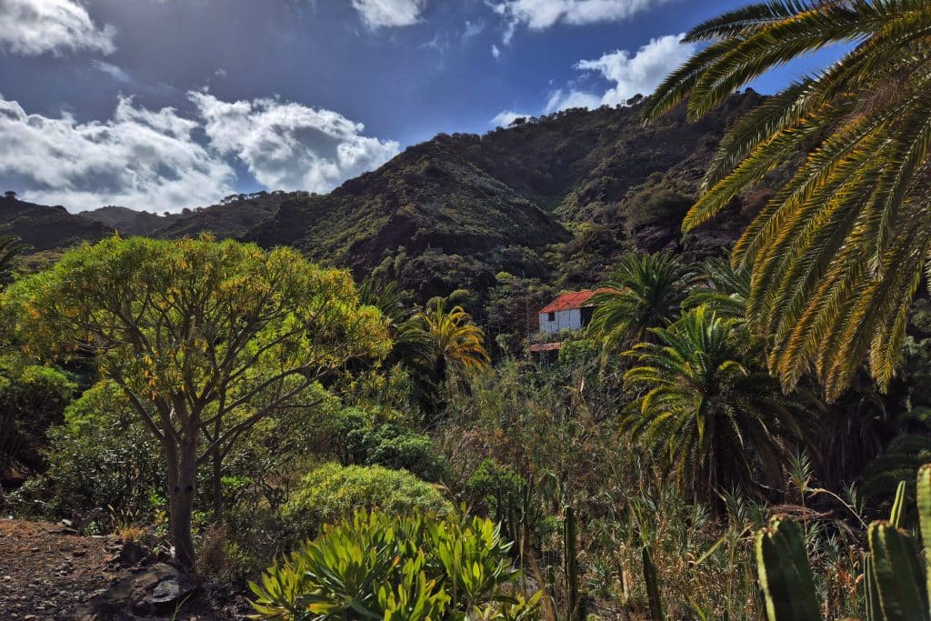 Hiking in La Gomera