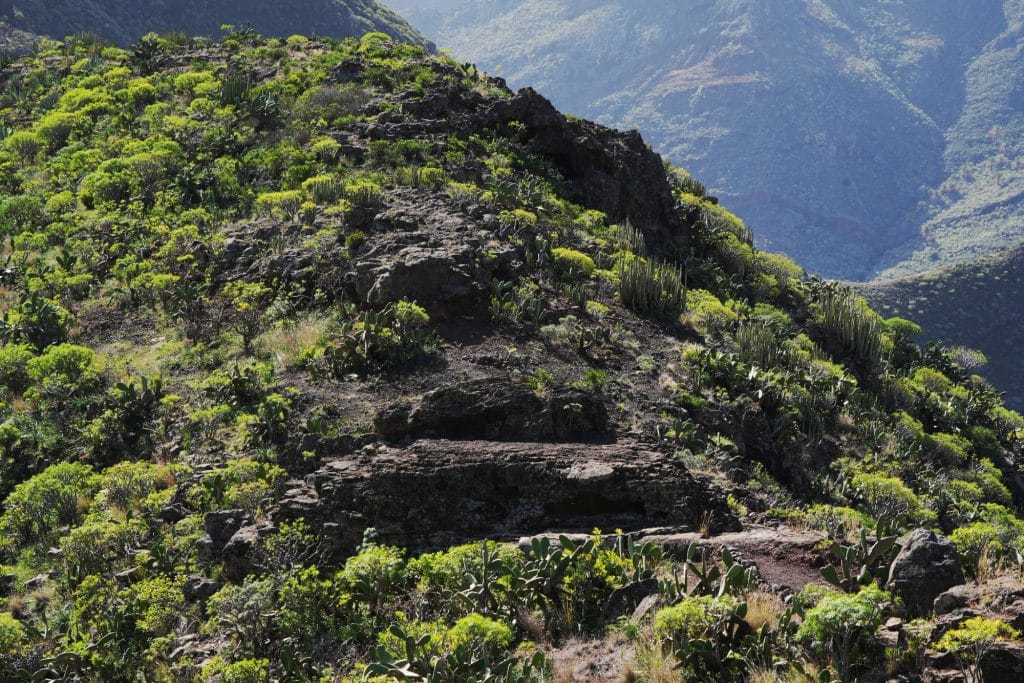 Hiking in La Gomera