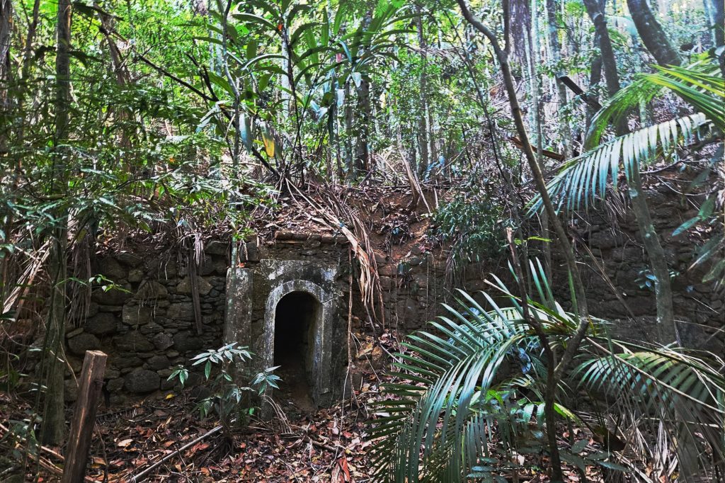 Tijuca National Park