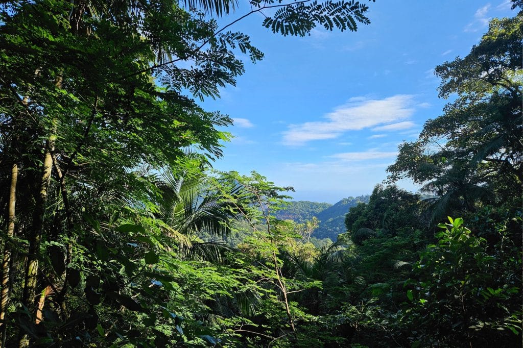 Tijuca National Park