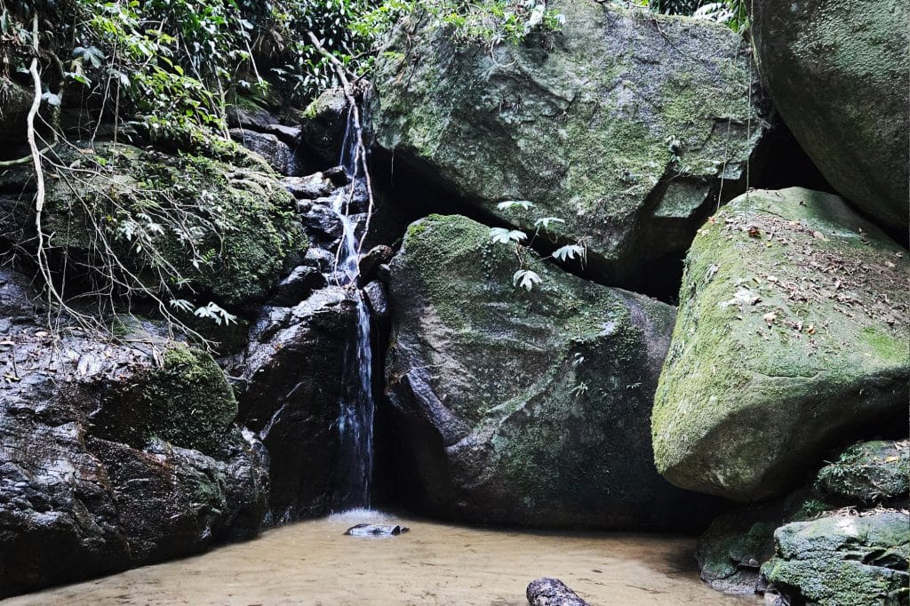 Tijuca National Park