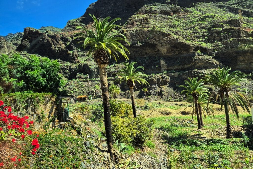 Valle Gran Rey