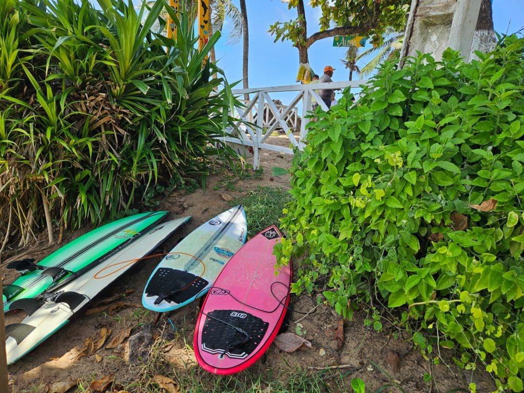 Surfing in Baia Formosa