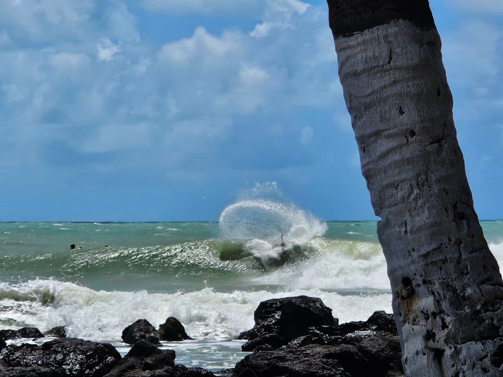Surfing in Baia Formosa