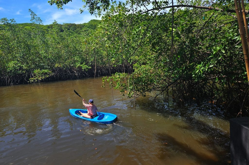 Camarao na Fazenda
