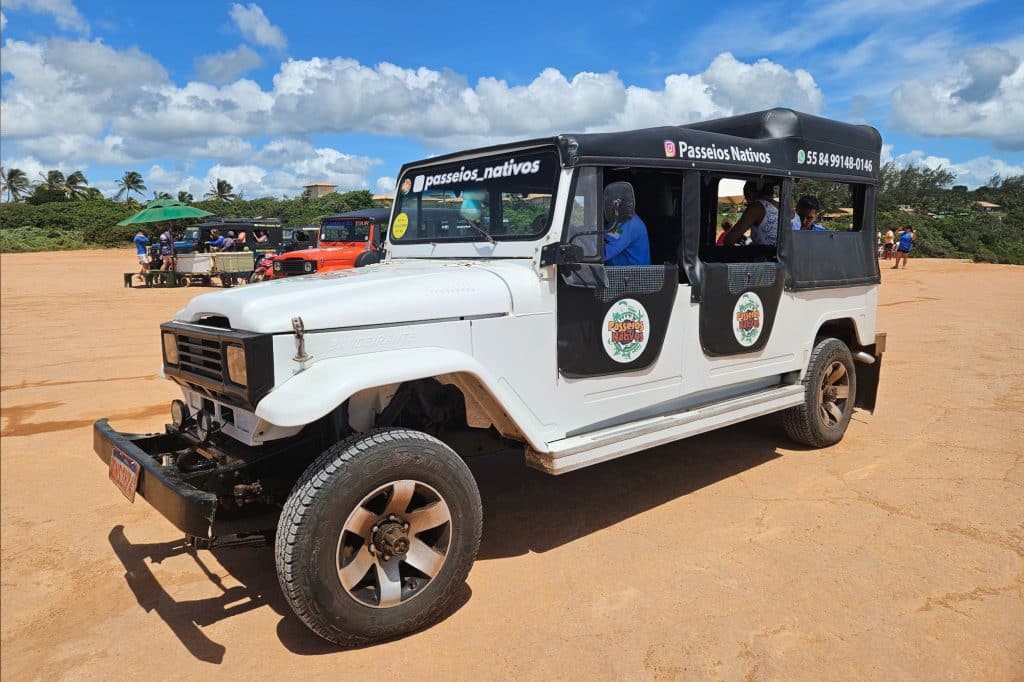 Jeep Tour to Chapadao Cliff in Pipa