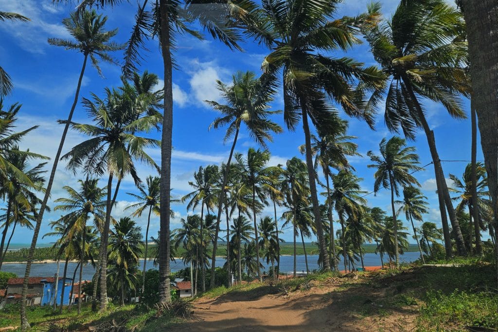 Jeep Tour to Cunhau from Pipa