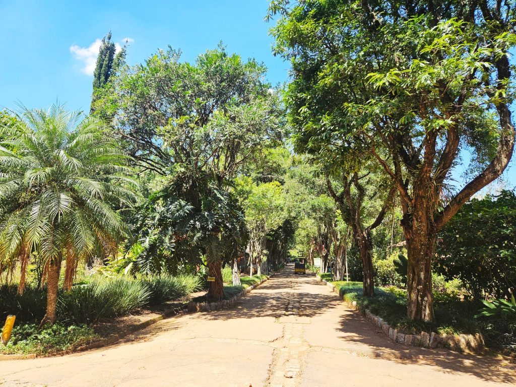Botanical Garden in Ibirapuera Park