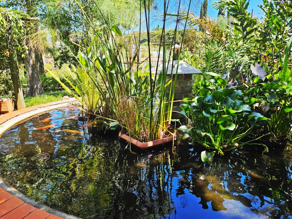 Botanical Garden in Ibirapuera Park