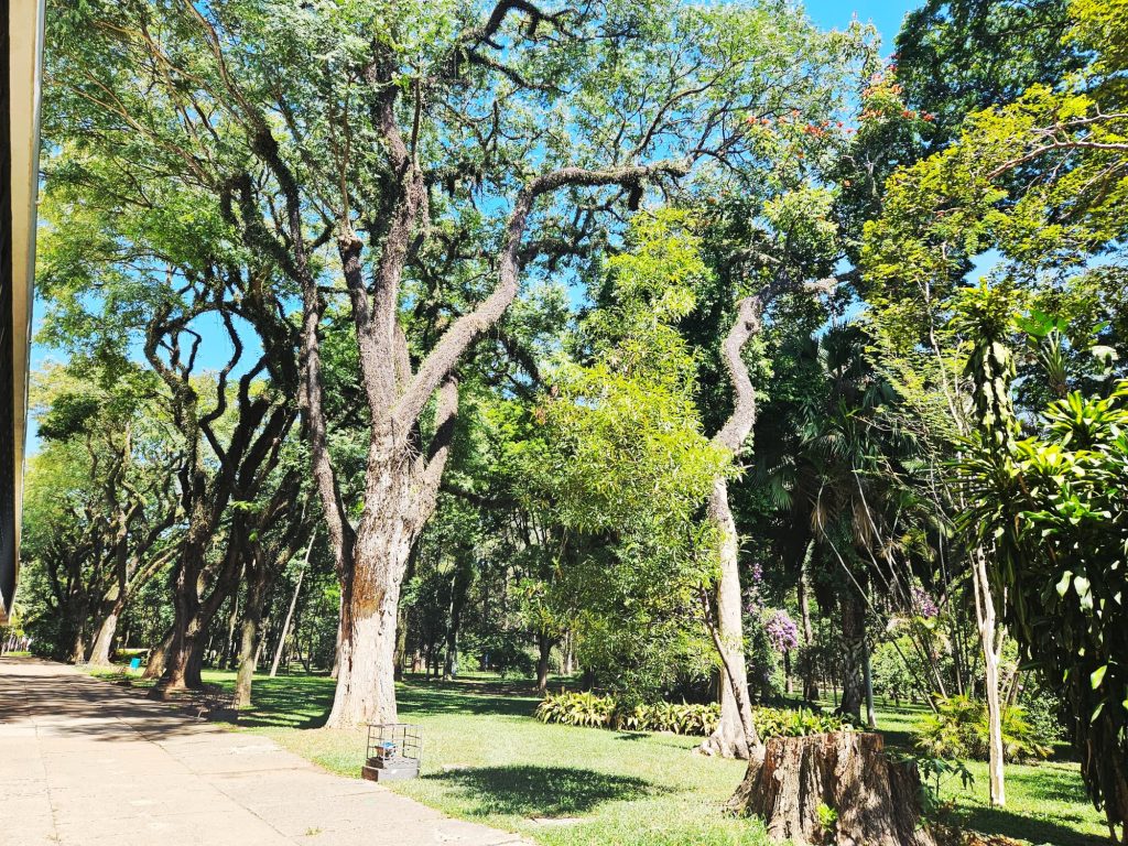 birapuera Park