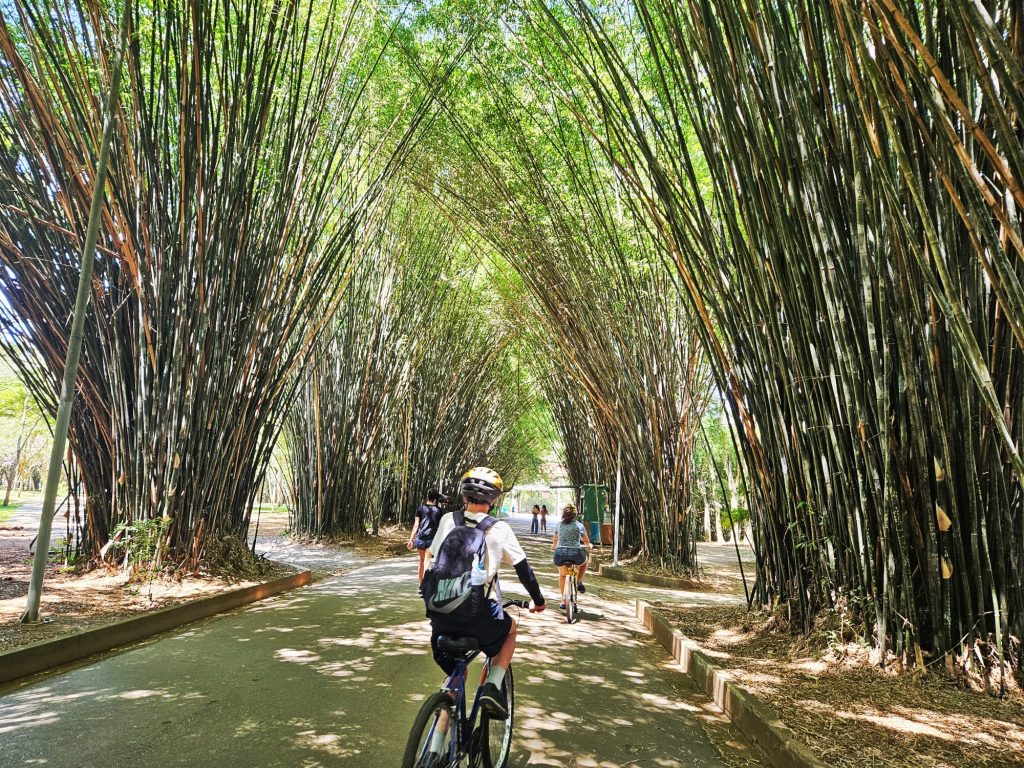 Ibirapuera Park