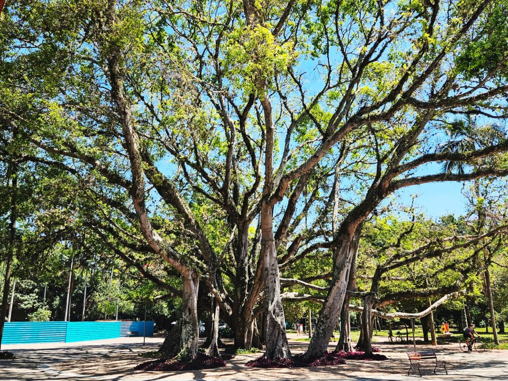birapuera Park