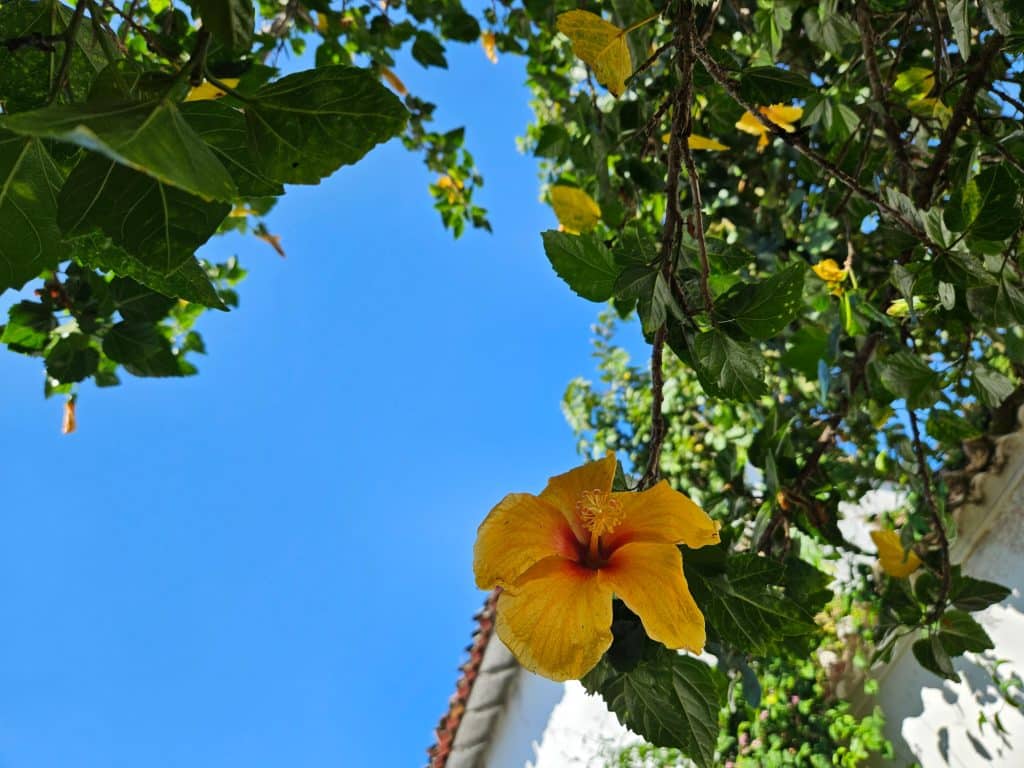 Paraty