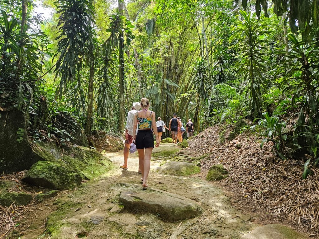 Waterfalls near Paraty