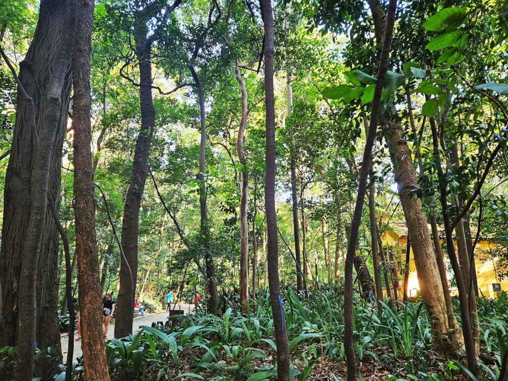 Paulista Avenue