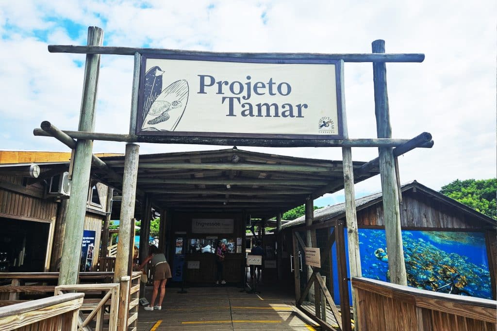 Projeto Tamar in Floripa