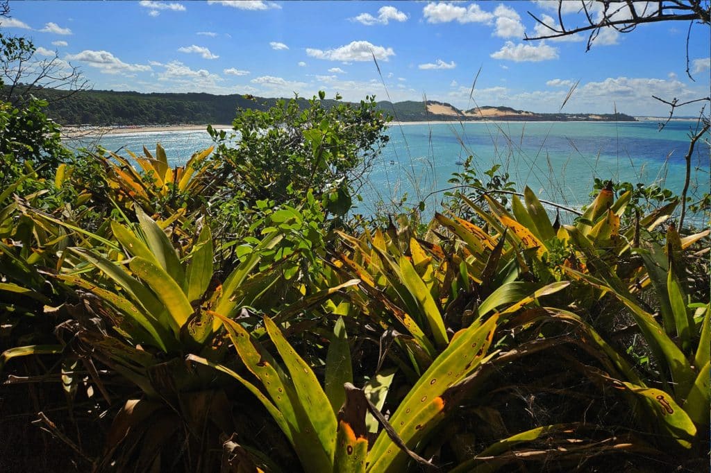 Santuario Ecologico in Pipa