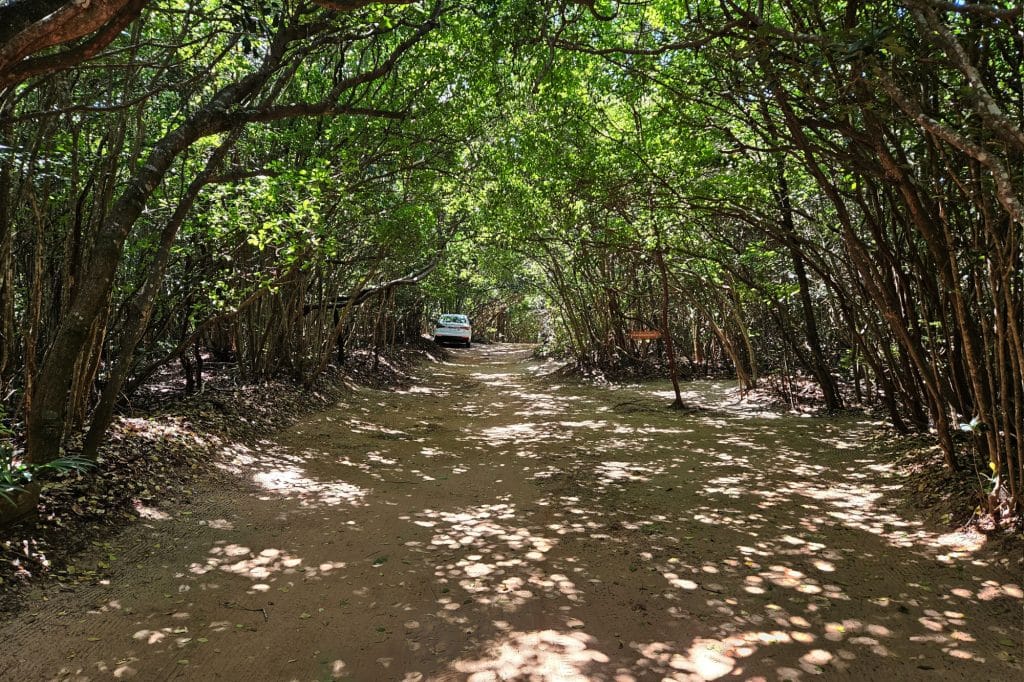 Santuario Ecologico in Pipa