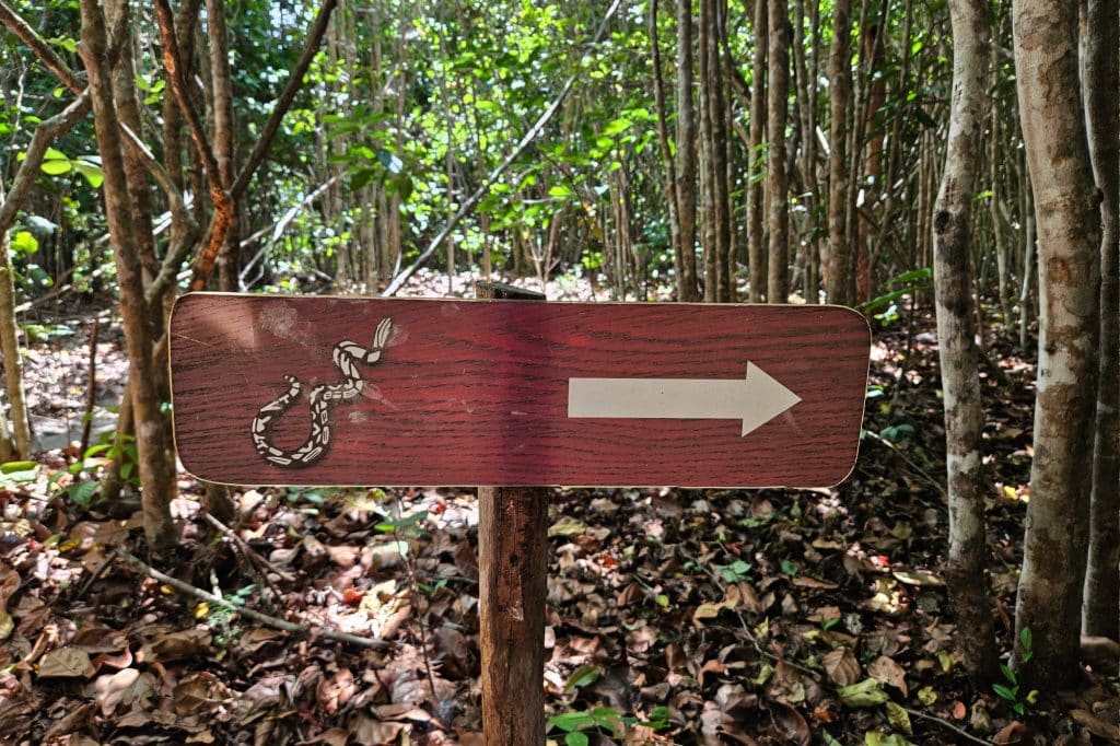 Santuario Ecologico in Pipa