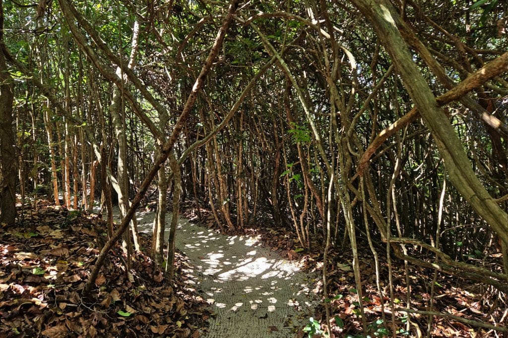 Santuario Ecologico in Pipa