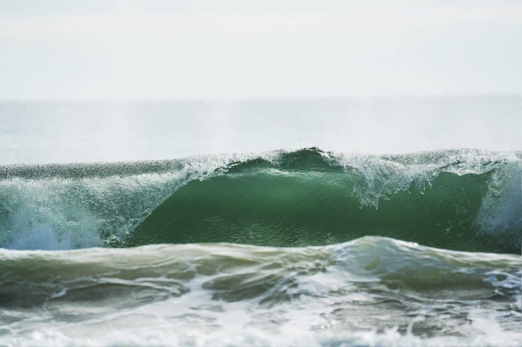 Surfing in Barra da Lagoa