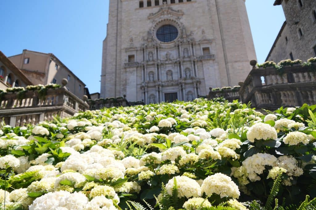 Flower Festival in Girona