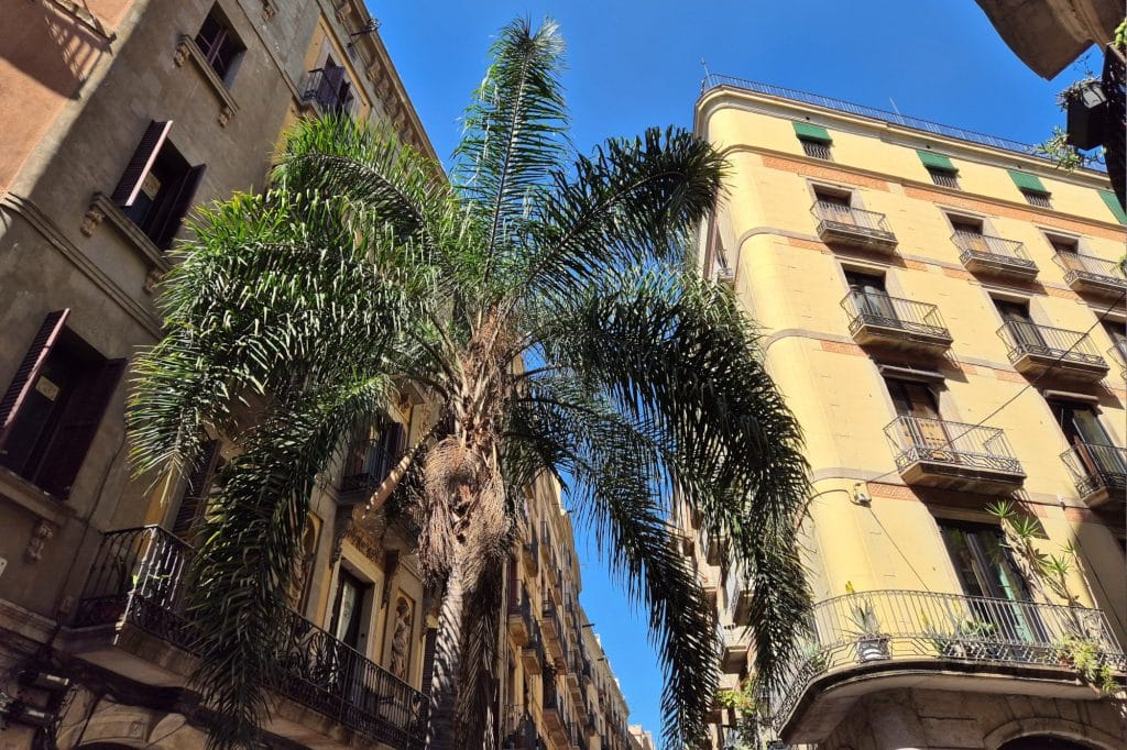 Old town of Barcelona
