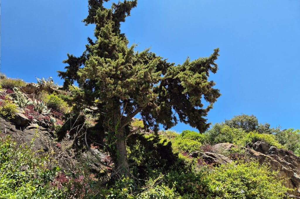 Park Muntanya in Caldes d'Estrac