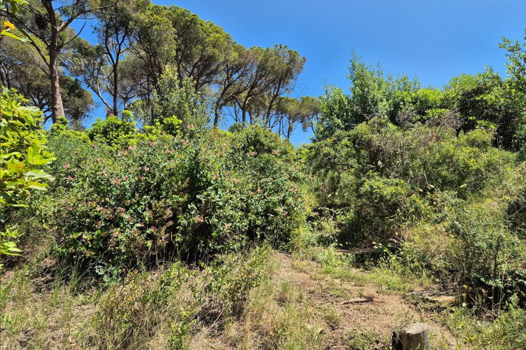 Park Muntanya in Caldes d'Estrac