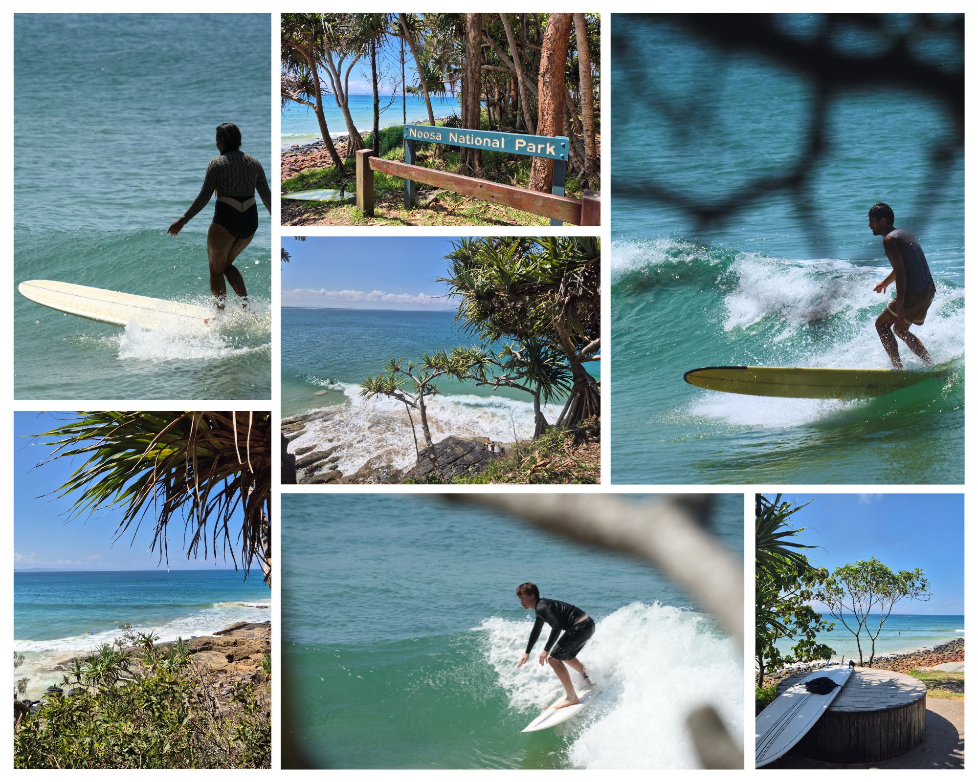Surfing at Noosa Heads